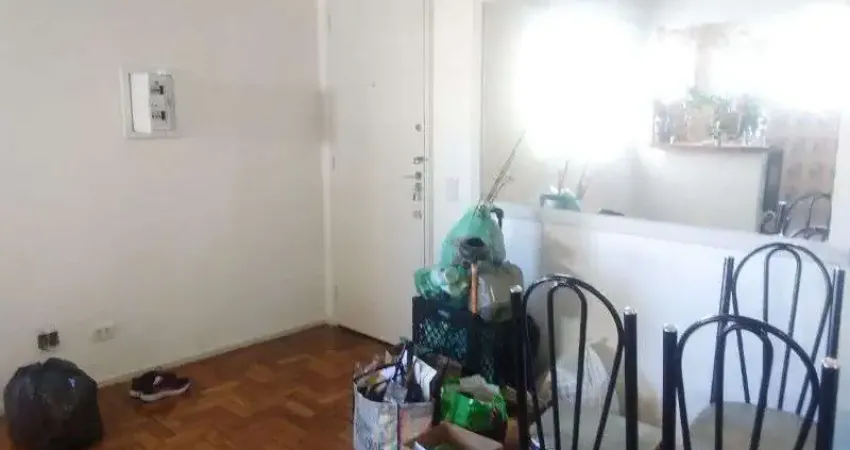 Apartamento com 2 quartos para alugar na Avenida Damasceno Vieira, Vila Mascote, São Paulo