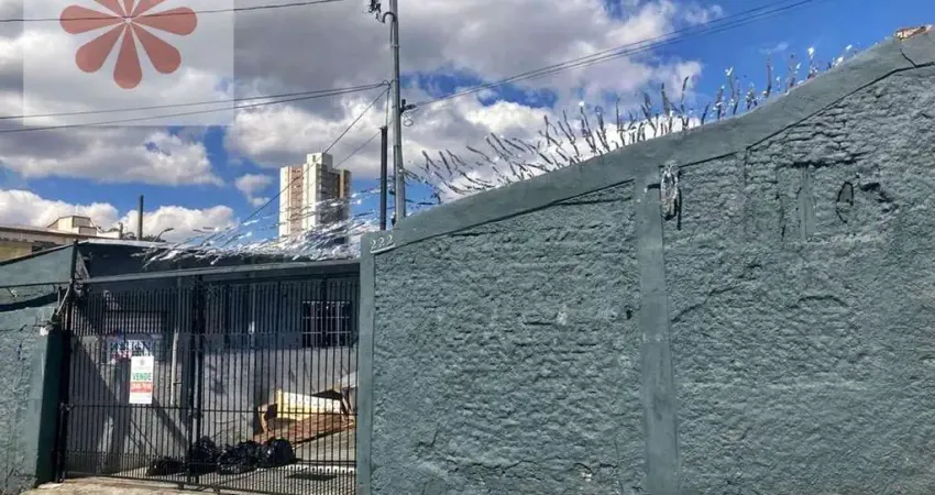 Terreno comercial para alugar na Vila Ponte Rasa, São Paulo