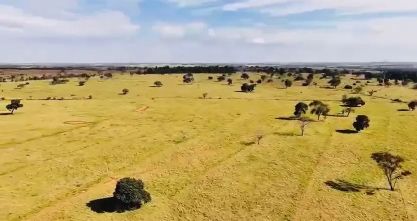 Vendo fazenda 39 alqueires paulista - região de nova granada-sp - r$ 7.900.000,00