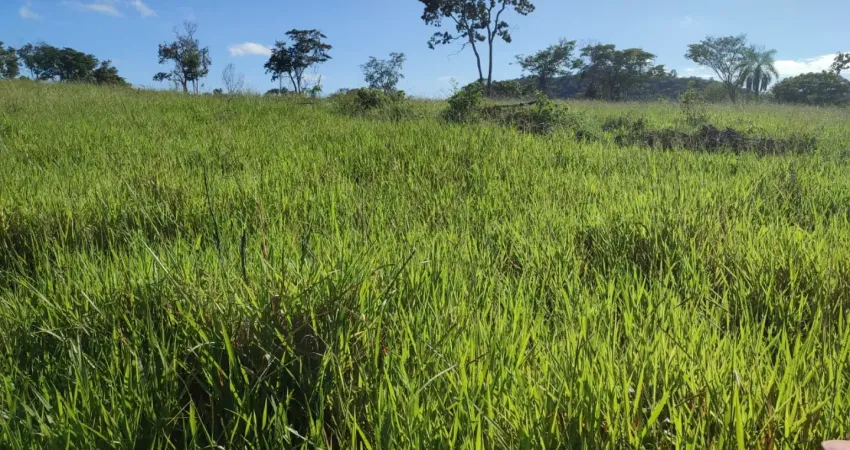 Fazenda de  48 alqueires toda formada em novo brasil , não tem casa e curral .