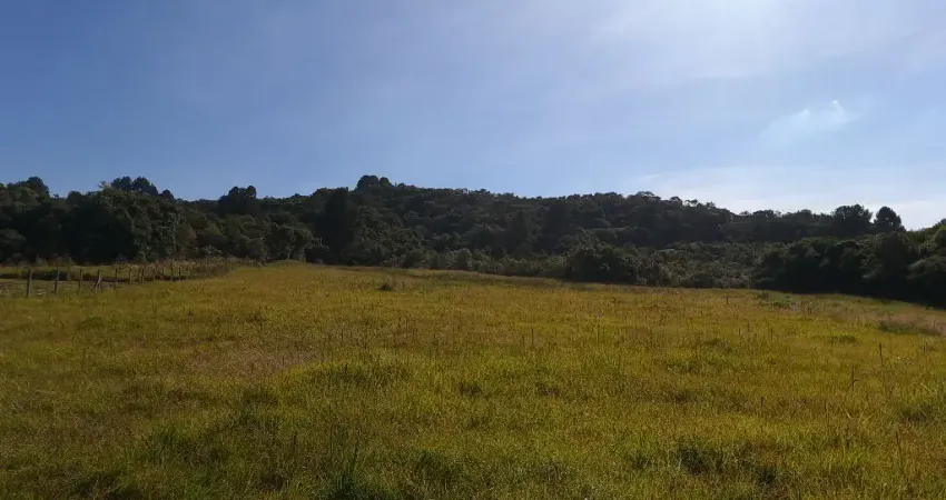 Chácara, 34.570 m², à venda por R$ 490.000 Contenda - São José dos Pinhais/PR