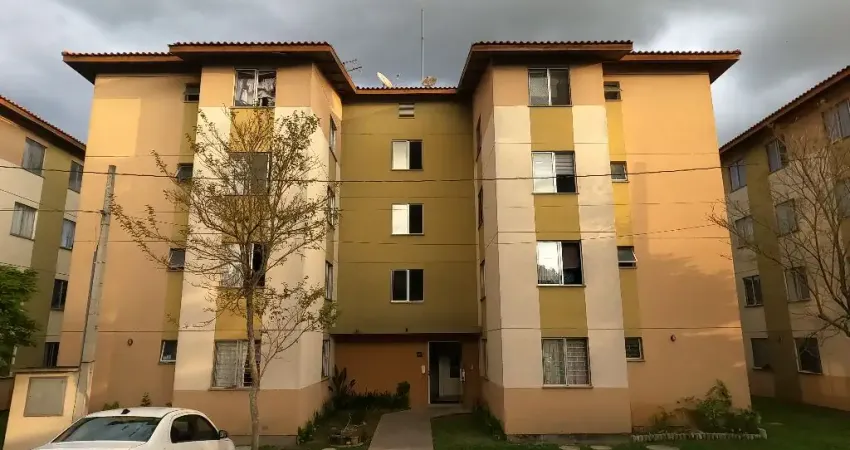 Apartamento com 2 quartos, 43 m², à venda por R$ 215.000 Colônia Rio Grande - São José dos Pinhais/PR