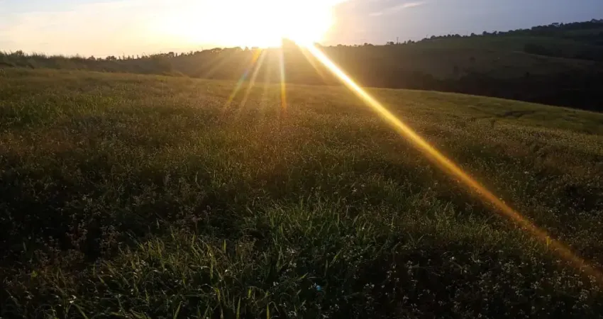 Sítio, 145.200 m², à venda por R$ 1.500.000 Água Amarela - Lapa/PR