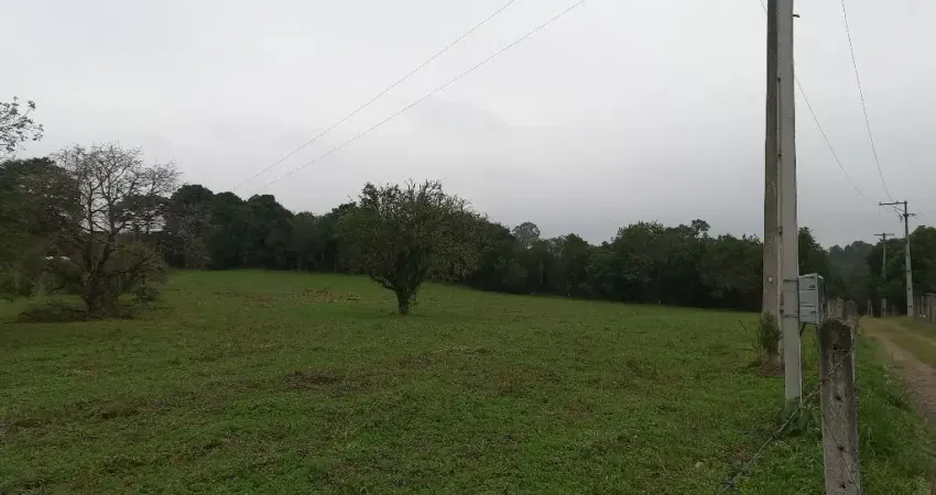 Chácara, 20.000 m², à venda por r$ 590.000 area rural - são josé dos pinhais/pr