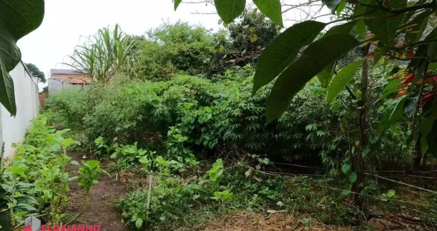 Terreno ZR3, plano com 462 m², à venda por R$ 550.000 Costeira - São José dos Pinhais/PR