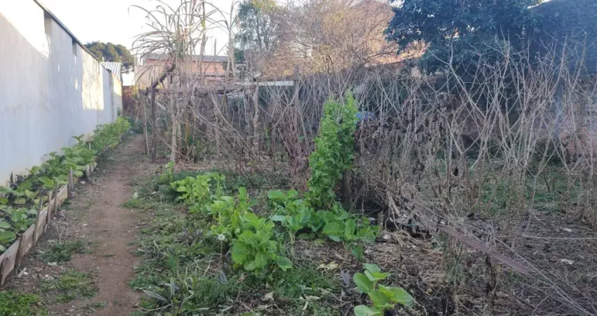 Terreno ZR3, plano com 462 m², à venda por R$ 550.000 Costeira - São José dos Pinhais/PR