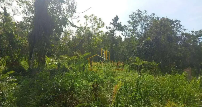 Terreno à venda, 6000 m² por r$ 60.000,00 - estância vale da serra - peruíbe/sp
