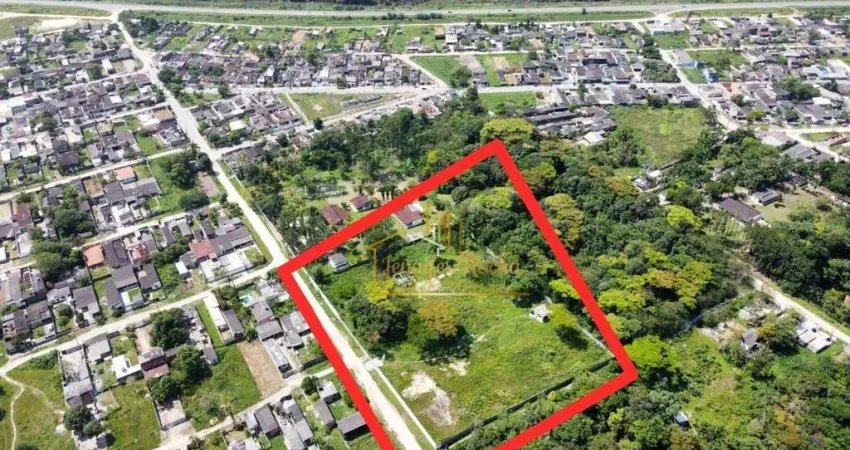 Terreno à venda, 10300 m² por r$ 1.500.000,00 - balneário caraguava - peruíbe/sp