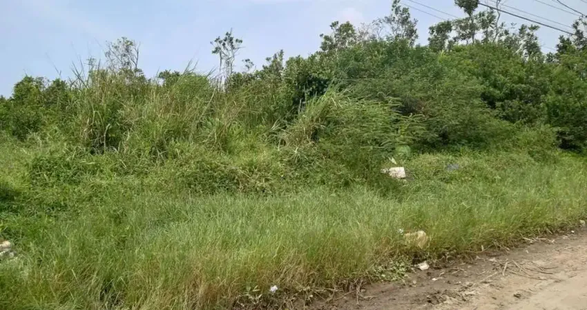 Terreno à venda, 310 m² por r$ 60.000 - balneário caraguava - peruíbe/sp