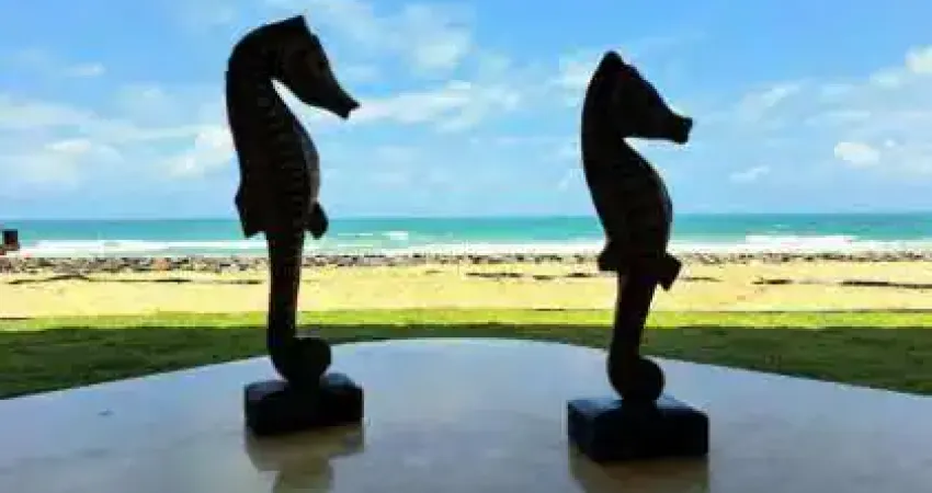 Casa de condomínio à venda em ipojuca, nossa senhora do ó, 136m²