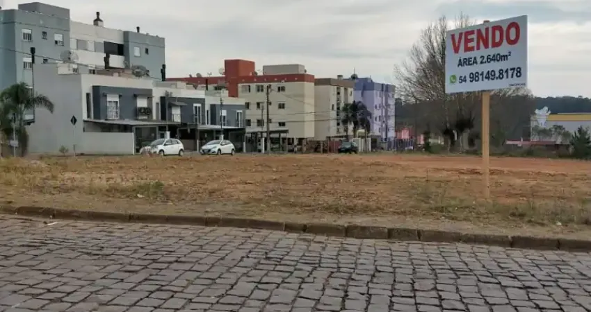 Lindos terrenos, área plana, zona mista. podem ser construídos pavilhões