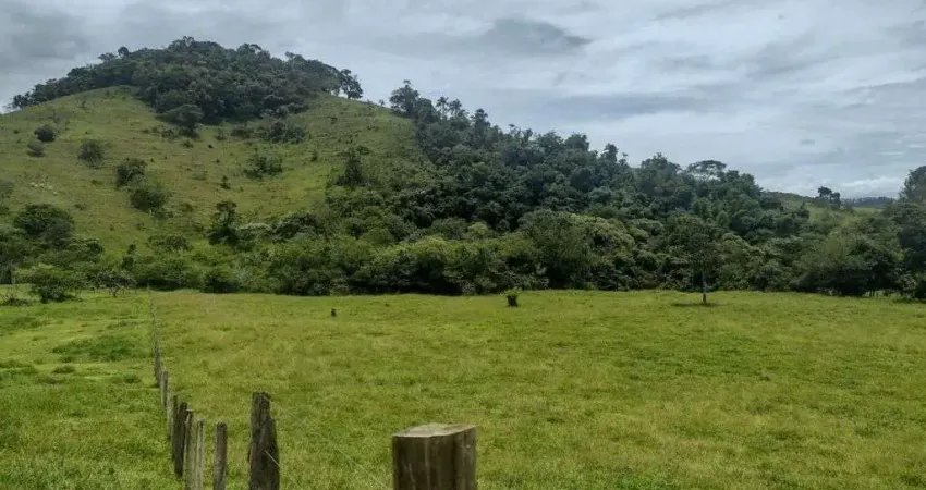 Terreno à venda, 50300 m² por r$ 800.000,00 - jardim julieta - taubaté/sp