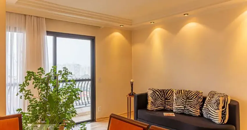 Apartamento para Venda - Cambuci, 3 Quartos,  71 m² - São Paulo