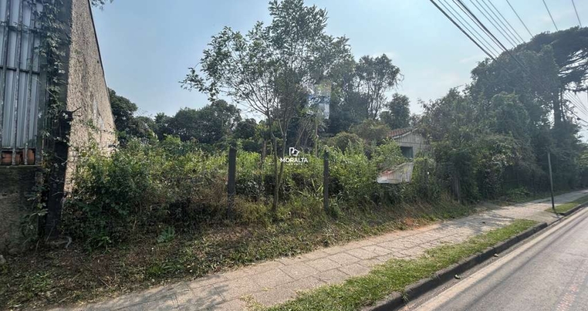 Terreno Comercial à venda - Boneca do Iguaçu - São José dos Pinhais/PR
