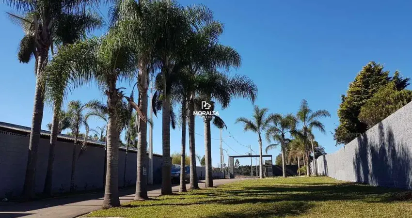 Terreno à venda no Campo Largo da Roseira, São José dos Pinhais 