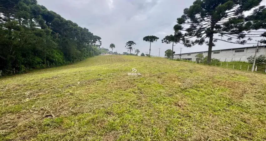 Chácara / sítio à venda no Campo Largo da Roseira, São José dos Pinhais