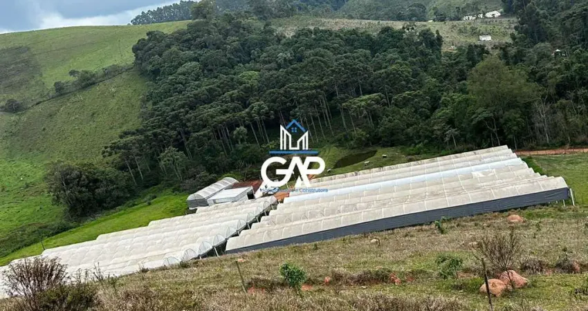 Oportunidade! terreno à venda com estrutura completa para produção agrícola