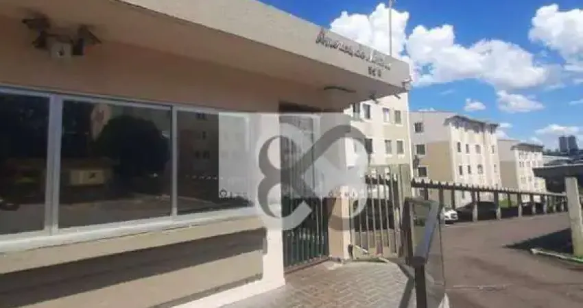 Apartamento com 2 dormitórios para alugar, 45 m² por R$ 900,00 Jardim das Américas - Londrina/PR
