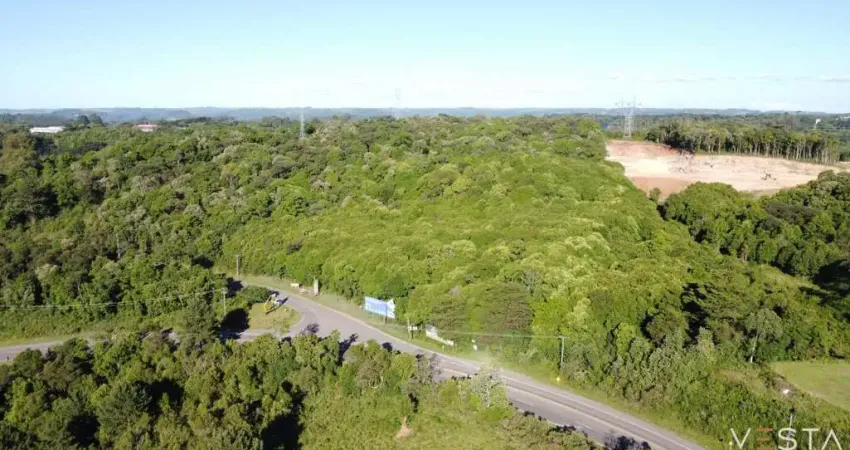 Terreno comercial à venda na Rua José Fabro e BR 116, Ana Rech, Caxias do Sul