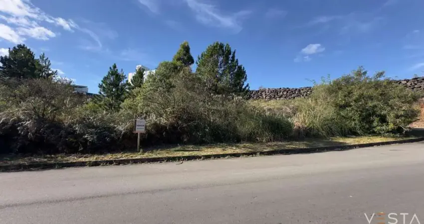 Terreno à venda na Rua Teresinha Geni Tonini Mantovani, 204, Sanvitto, Caxias do Sul