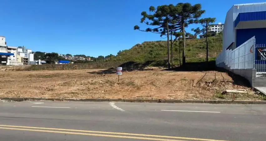 Terreno comercial à venda na Rua Olinda Pontalti Peteffi, 007, Treviso, Caxias do Sul