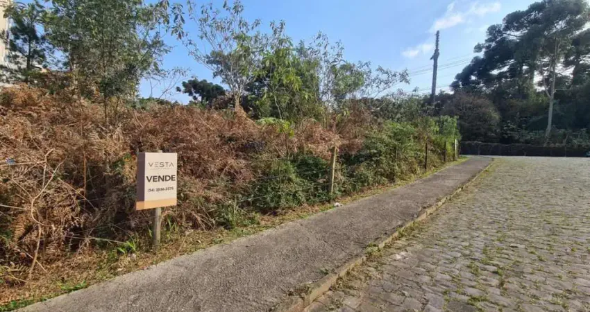 Terreno à venda na Avenida Doutor Demétrio Niederauer, Pioneiro, Caxias do Sul