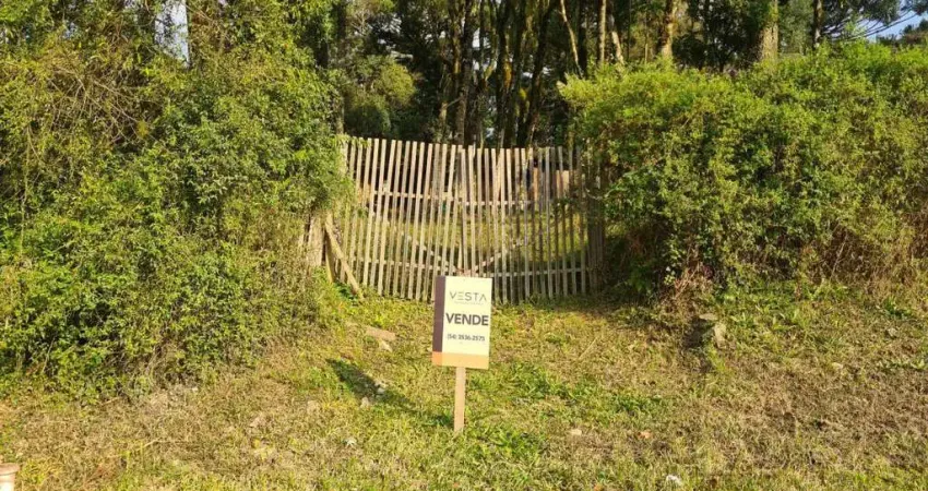 Terreno à venda na Rua Dante Marcucc, Ana Rech, Caxias do Sul