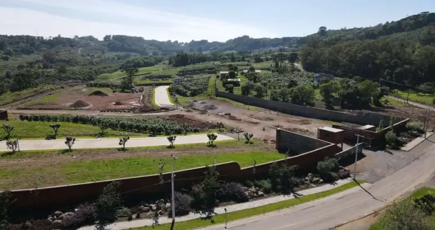 Casa em condomínio fechado à venda na Estrada Valentino Venturin, 370, Monte Bérico, Caxias do Sul