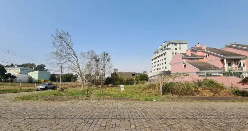 Terreno à venda na Rua Gelindo Zanrosso, Nossa Senhora da Saúde, Caxias do Sul