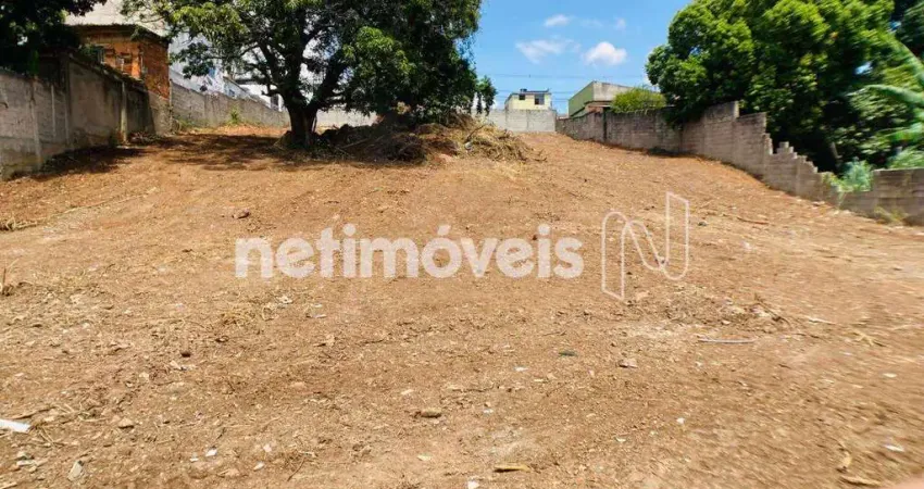 Terreno à venda na Rua Ásia, Parque Turistas, Contagem