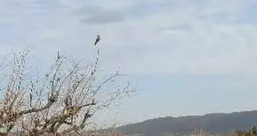 Terreno em condomínio para venda em jundiaí, distrito industrial