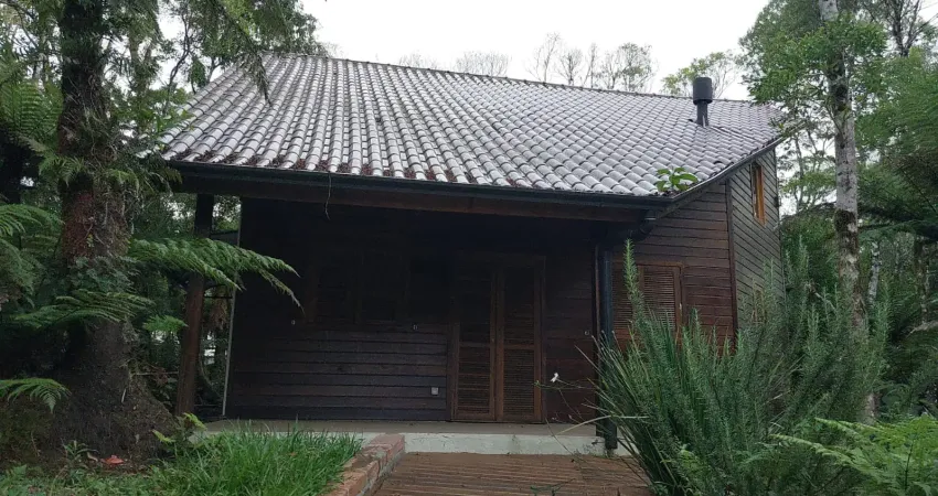 Venha morar na tranquilidade da mata nativa e do canto dos pássaros !loteamento alpes !