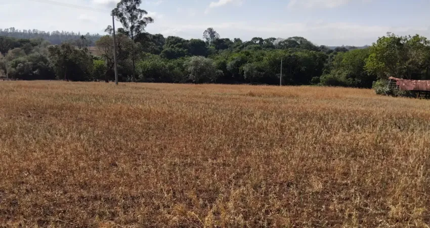 4 alqueires na castello branco, e muita terra para construir a chácara dos sonhos de sua família.