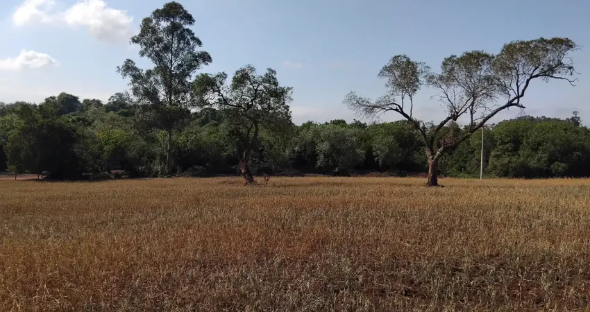 Sítio / chácara na beira da castello branco, a rodovia mais segura do interior de sp.