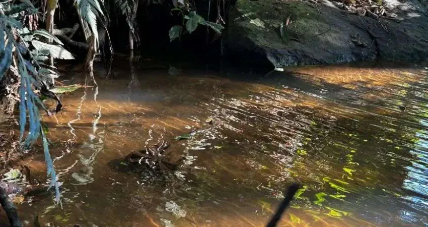 Terreno à venda no Centro, São João da Mata 