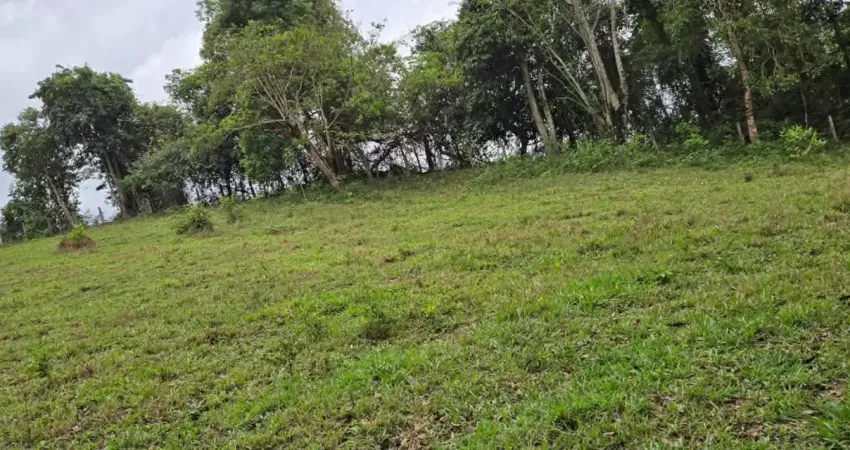 10.000m² bbb - bom bonito e barato - vem ser feliz você também!   ️ terreno de 10.000 m² com vista panorâmica — apenas r$ 89.700!    um verdadeiro refúgio em meio à natureza! localizado na região de p