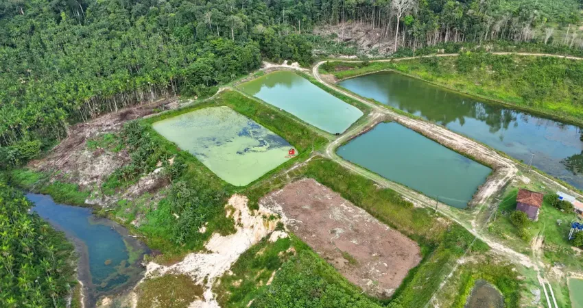 Fazenda com 1 sala à venda na Rua Taboca, 4, Zona Rural, Presidente Figueiredo