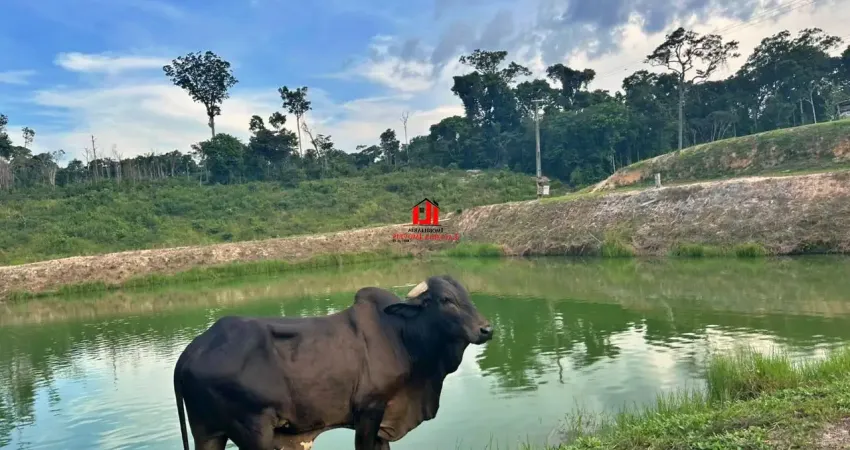 Fazenda com 1 sala à venda na Rua Abraão Cardoso, 4, Tarumã-Açu, Manaus