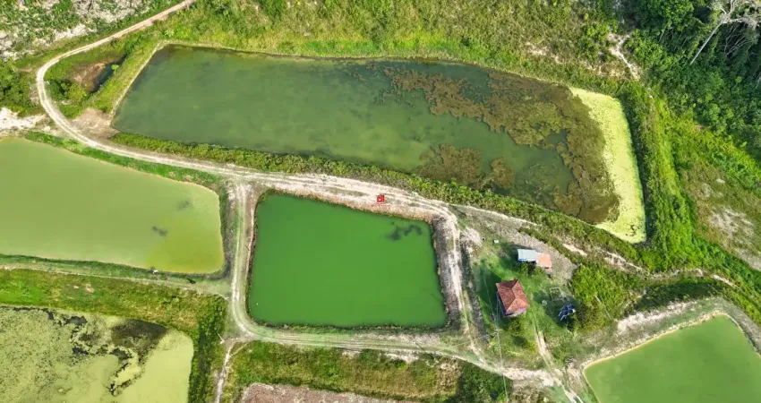 Fazenda à venda na Rua Taboca, 75, Zona Rural, Presidente Figueiredo