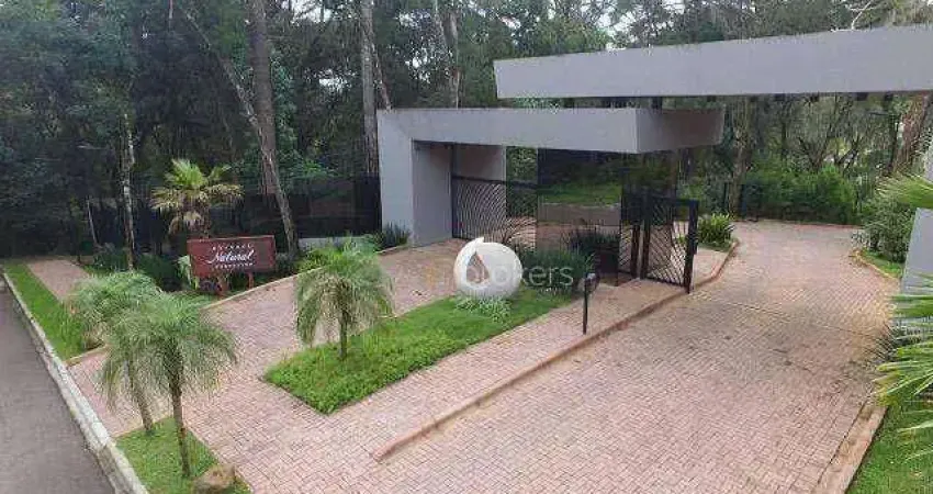 Terreno à venda, 704 m² por R$ 1.500.000,00 - Santa Felicidade - Curitiba/PR