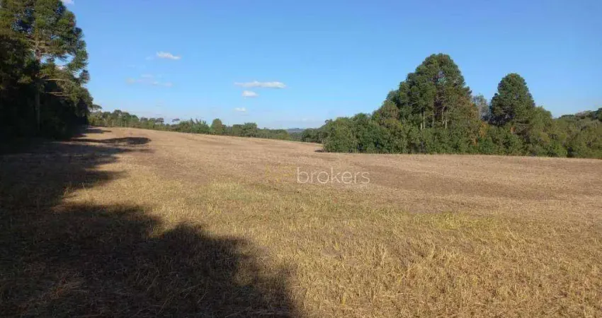 Chácara com 5 dormitórios à venda, 58372 m² por R$ 2.190.000,00 - Centro - Antônio Olinto/PR