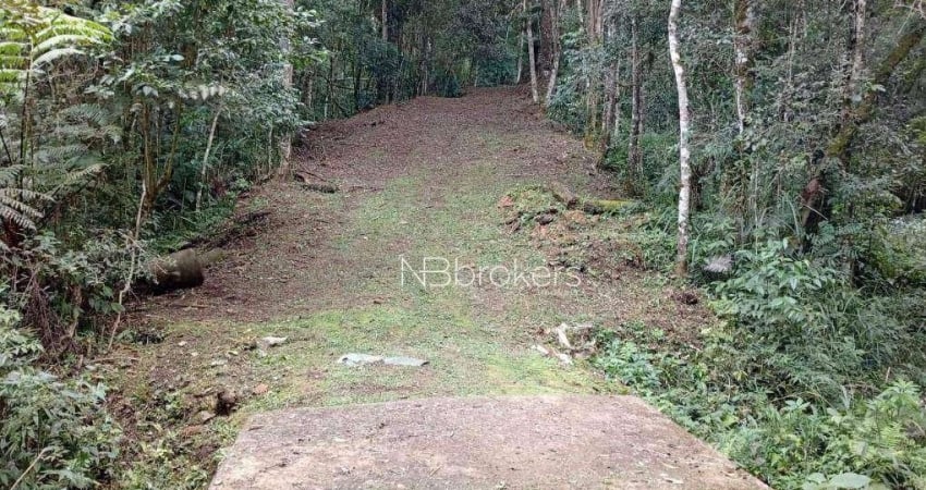 Refúgio Natural Próximo ao Morro da Palha – Chácara com Rios em Área Privilegiada
