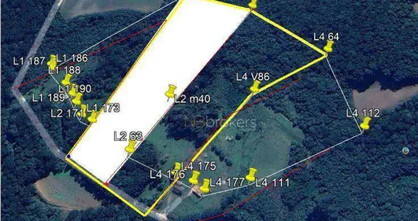 Chácara à venda, 43700 m² por R$ 990.000,00 - Estação - Araucária/PR