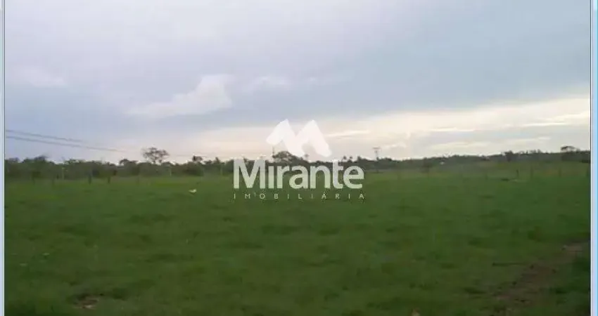 Fazenda à venda na Estrada Velha de São José, Asa Branca, Feira de Santana