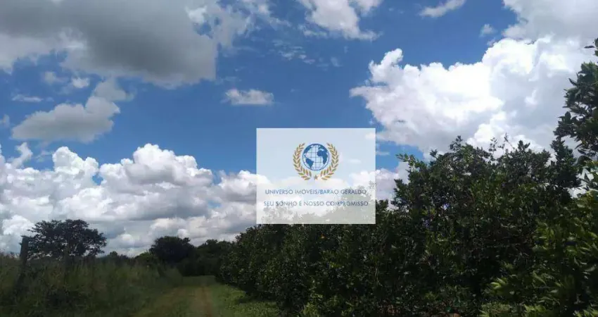 Área à venda, 10000 m² por r$ 23.000.000,00 - vila industrial - campinas/sp