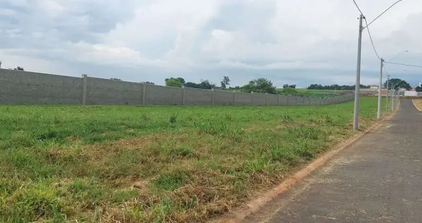Terreno à venda na Avenida Alexandre Cazellato, 2210, Betel, Paulínia