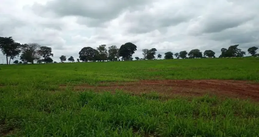 Fazenda para venda em itarumã, área rural, 3 dormitórios, 1 suíte, 3 banheiros, 8 vagas