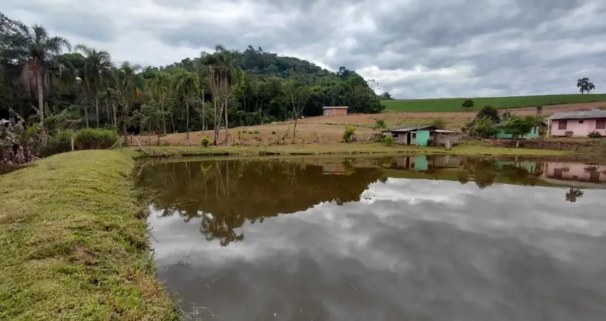 Chácara / sítio com 3 quartos à venda no Guarani, Parobé