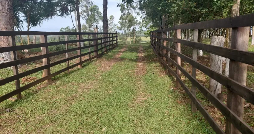 Chácara / sítio à venda na Zona Rural, Araricá 