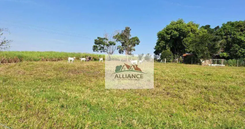 Chácara com 3 dormitórios à venda, 38000 m² por r$ 1.350.000,00 - lagoa bonita - engenheiro coelho/sp